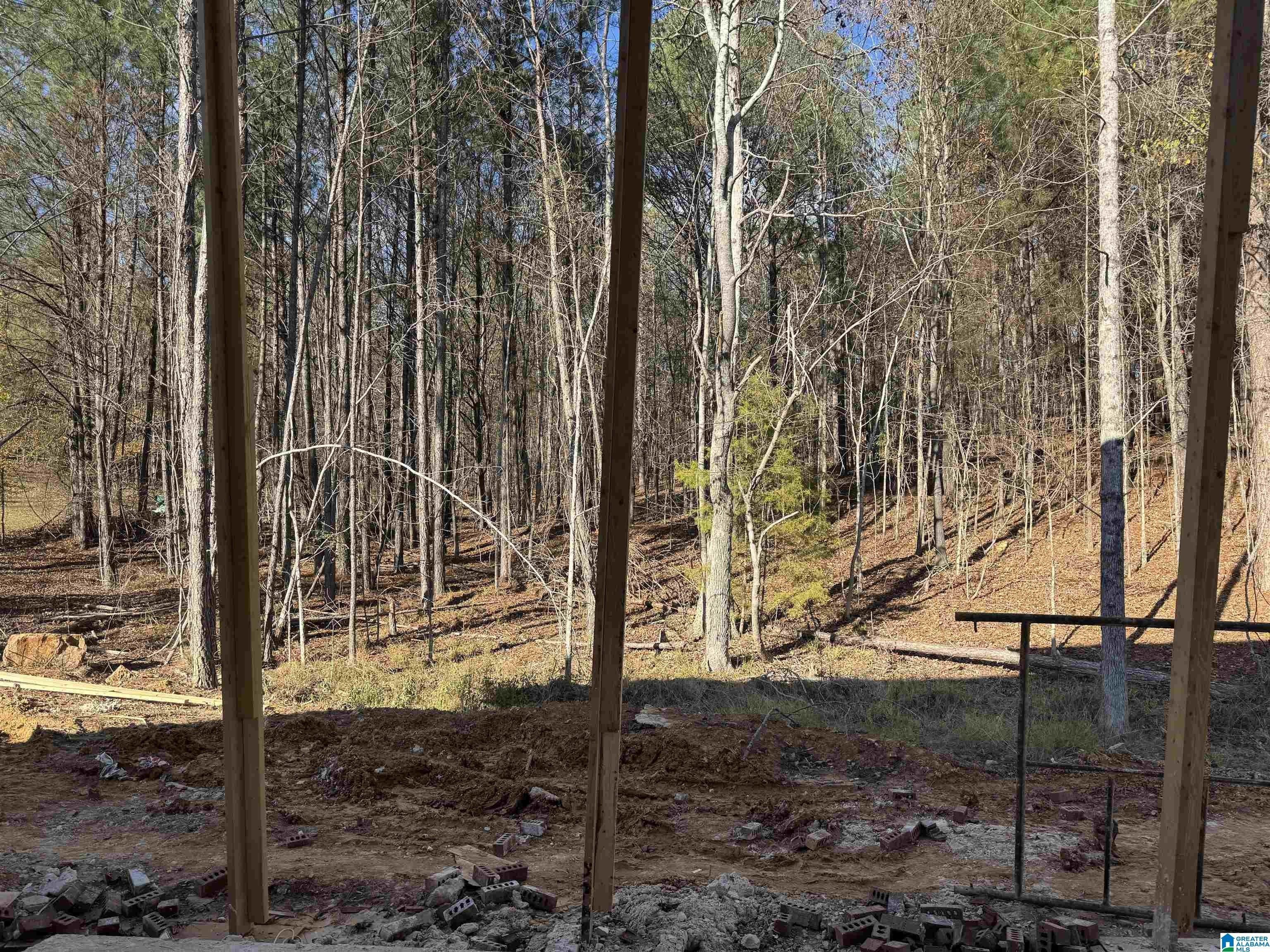 323 Emerald Lane. Chelsea, AL 35043