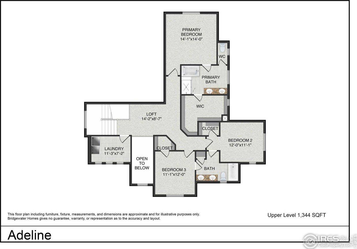 Gianna Dr. Timnath, CO 80547