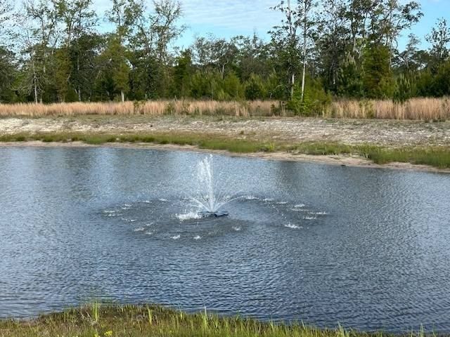 Tbd Red Drum Drive. Freeport, FL 32439