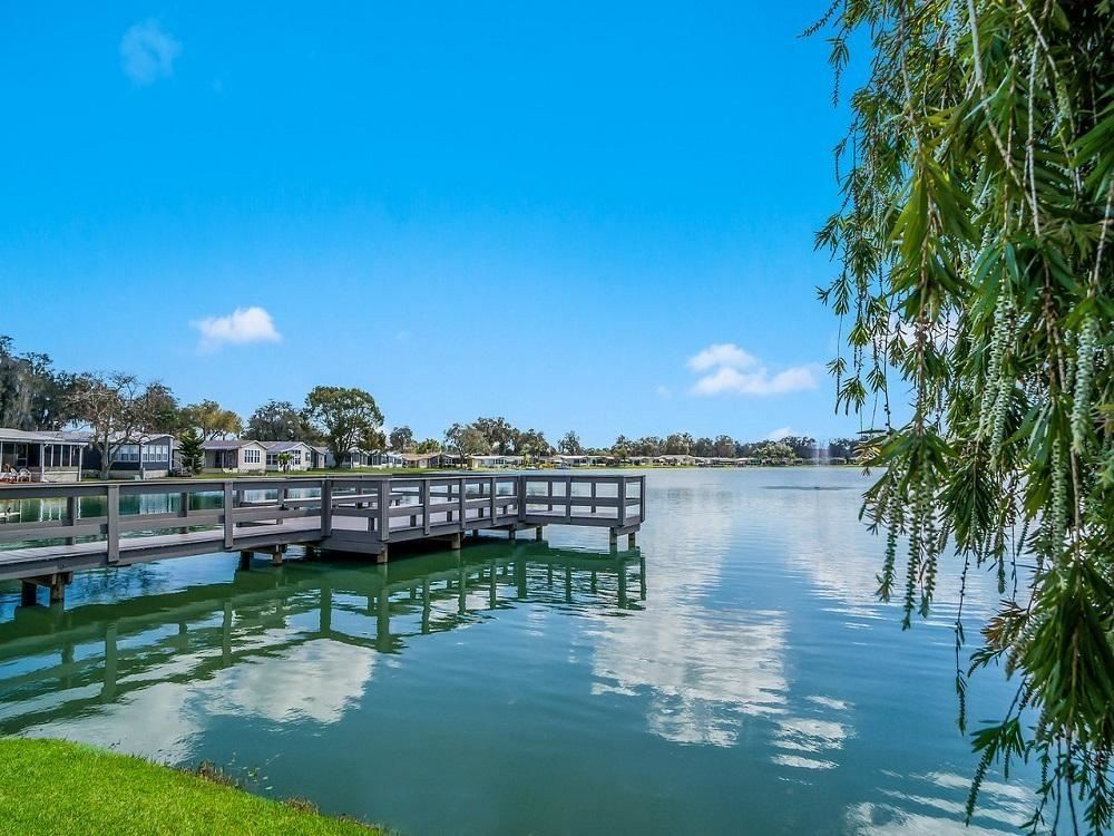 40664 Vanilla Orchid Loop. Zephyrhills, FL 33540