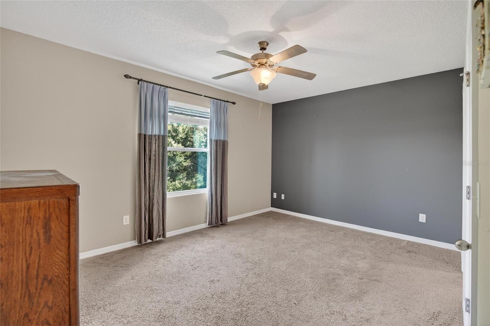 6936 Breezy Palm Drive. Riverview, FL 33578