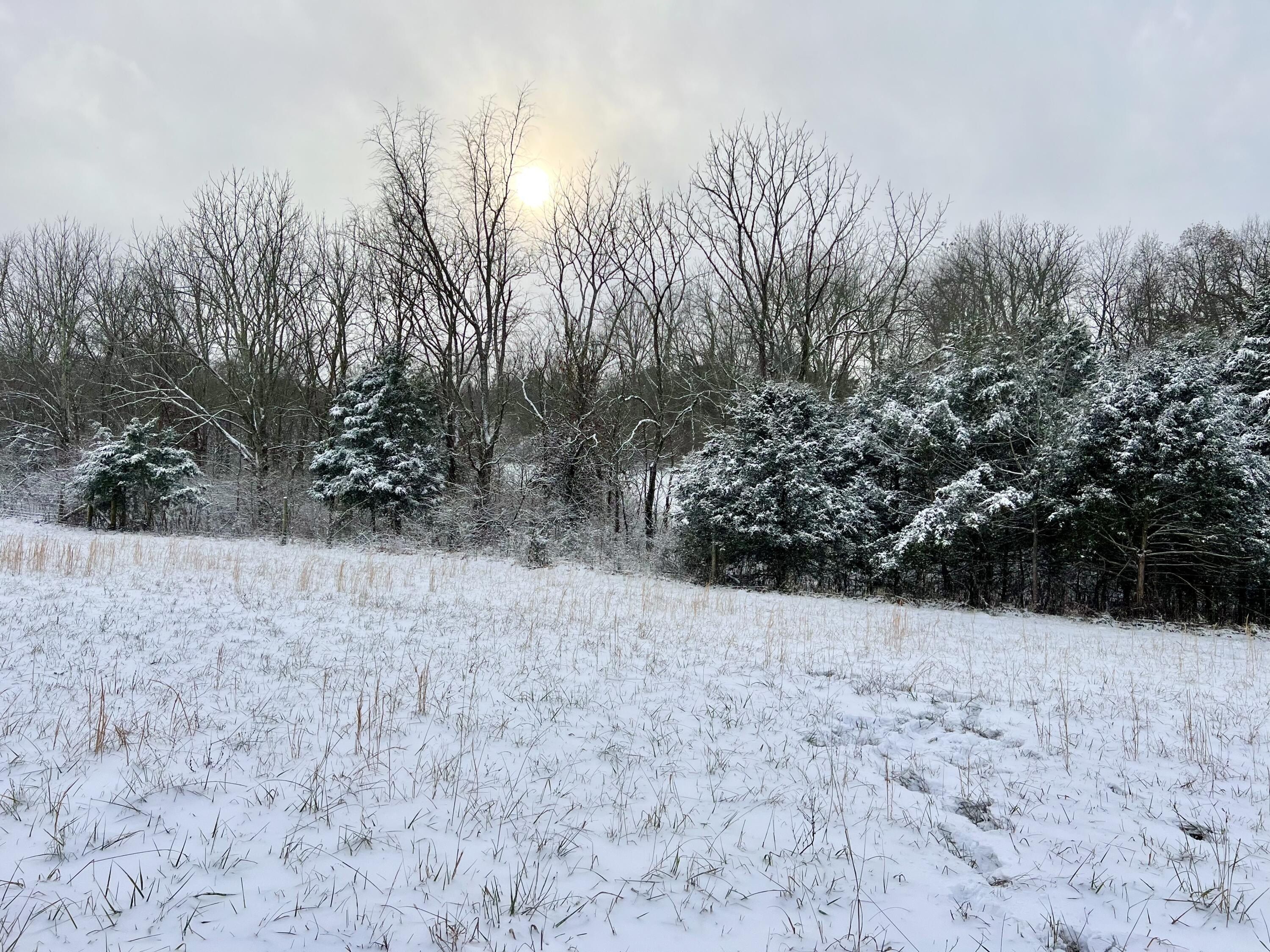409 Appaloosa Trail. Wilmore, KY 40390