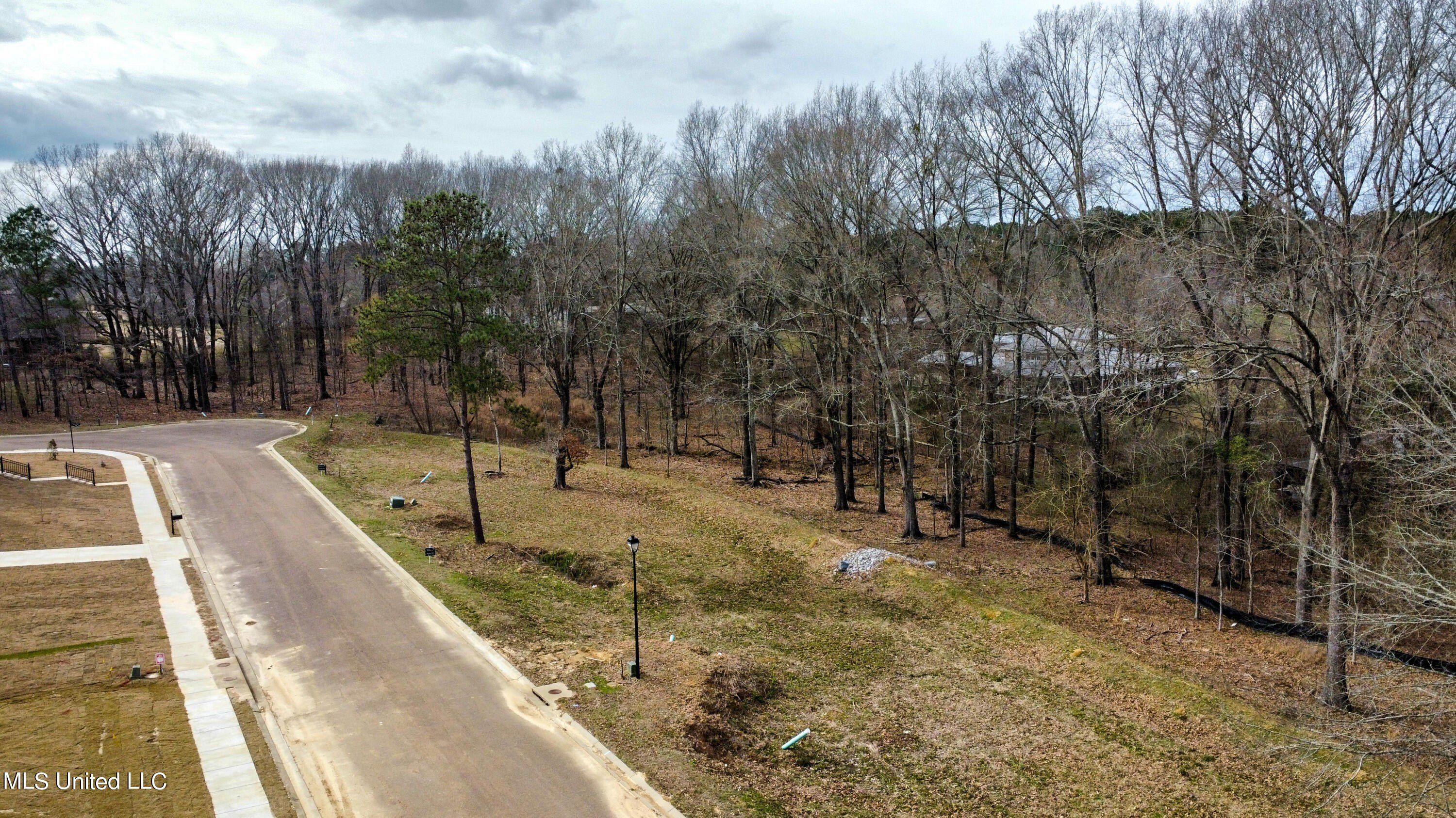 Brents Crossing Lot. Clinton, MS 39056
