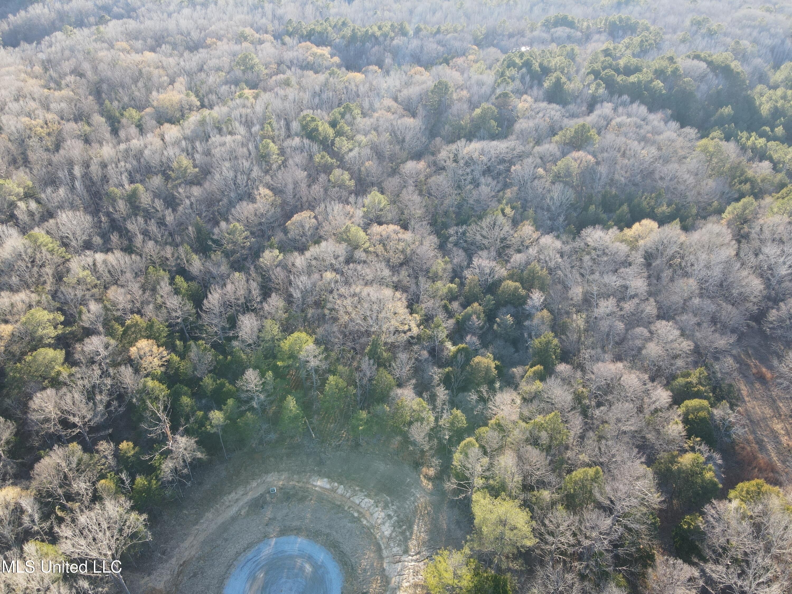 Springwood Trail Lot. Flora, MS 39071