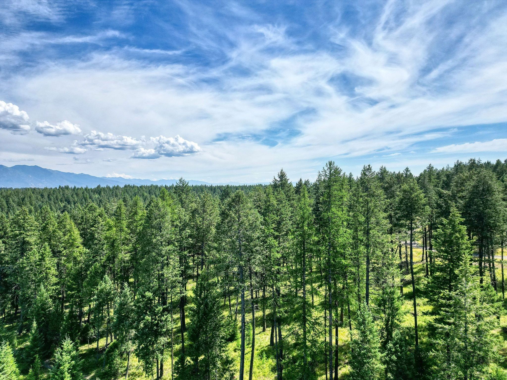 Address To Be Determined The Woodlands Lot 9. Whitefish, MT 59937