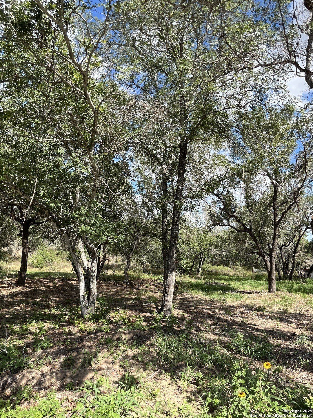 County Rd 124 Lot I 497. Elmendorf, TX 78112