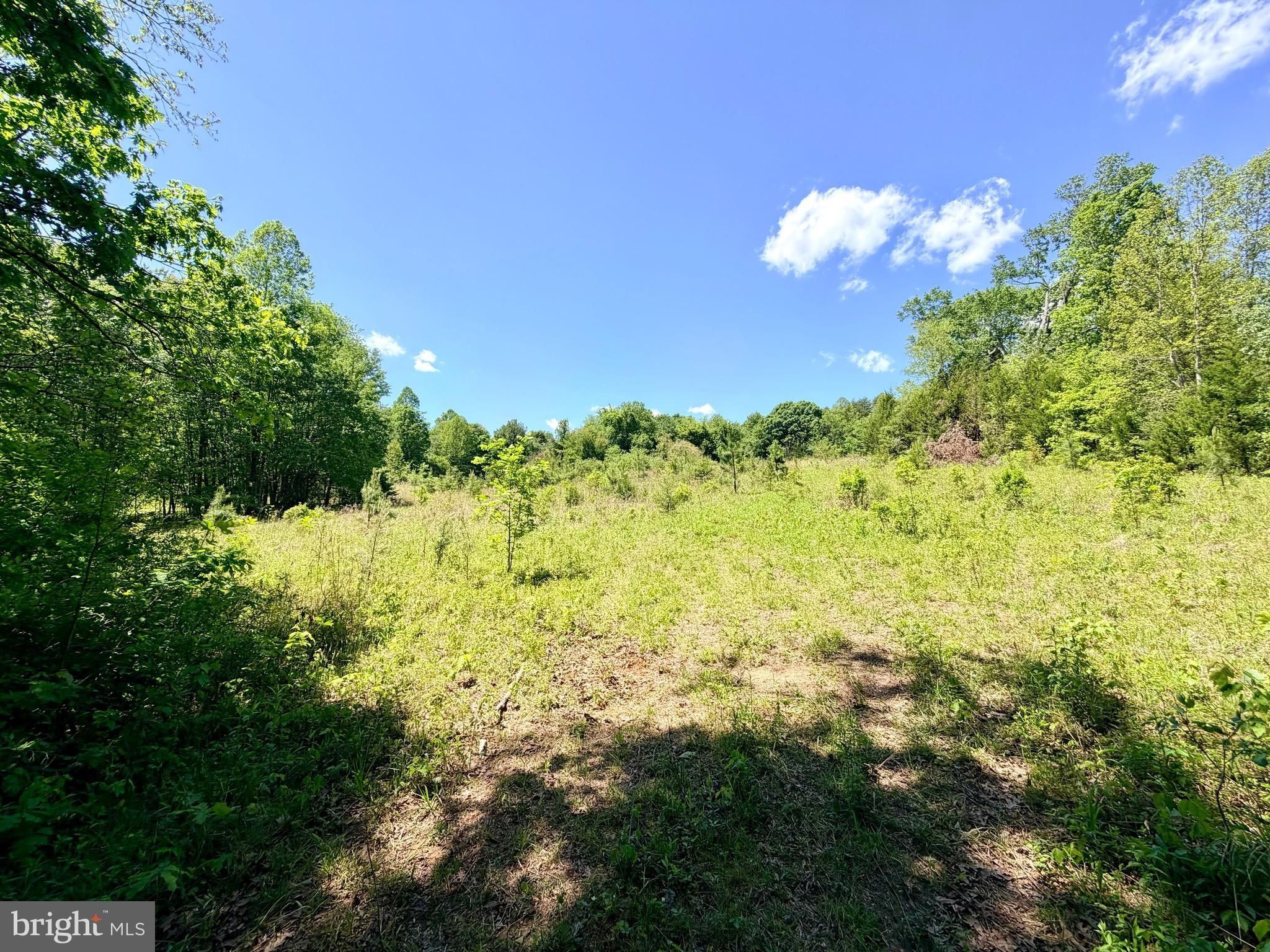 Autumn Ridge Lane Lot 5. Unionville, VA 22567