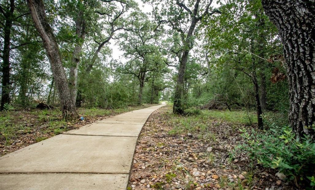 Colton - The Colony: Bastrop, Texas - Ashton Woods