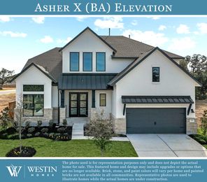 Asher X