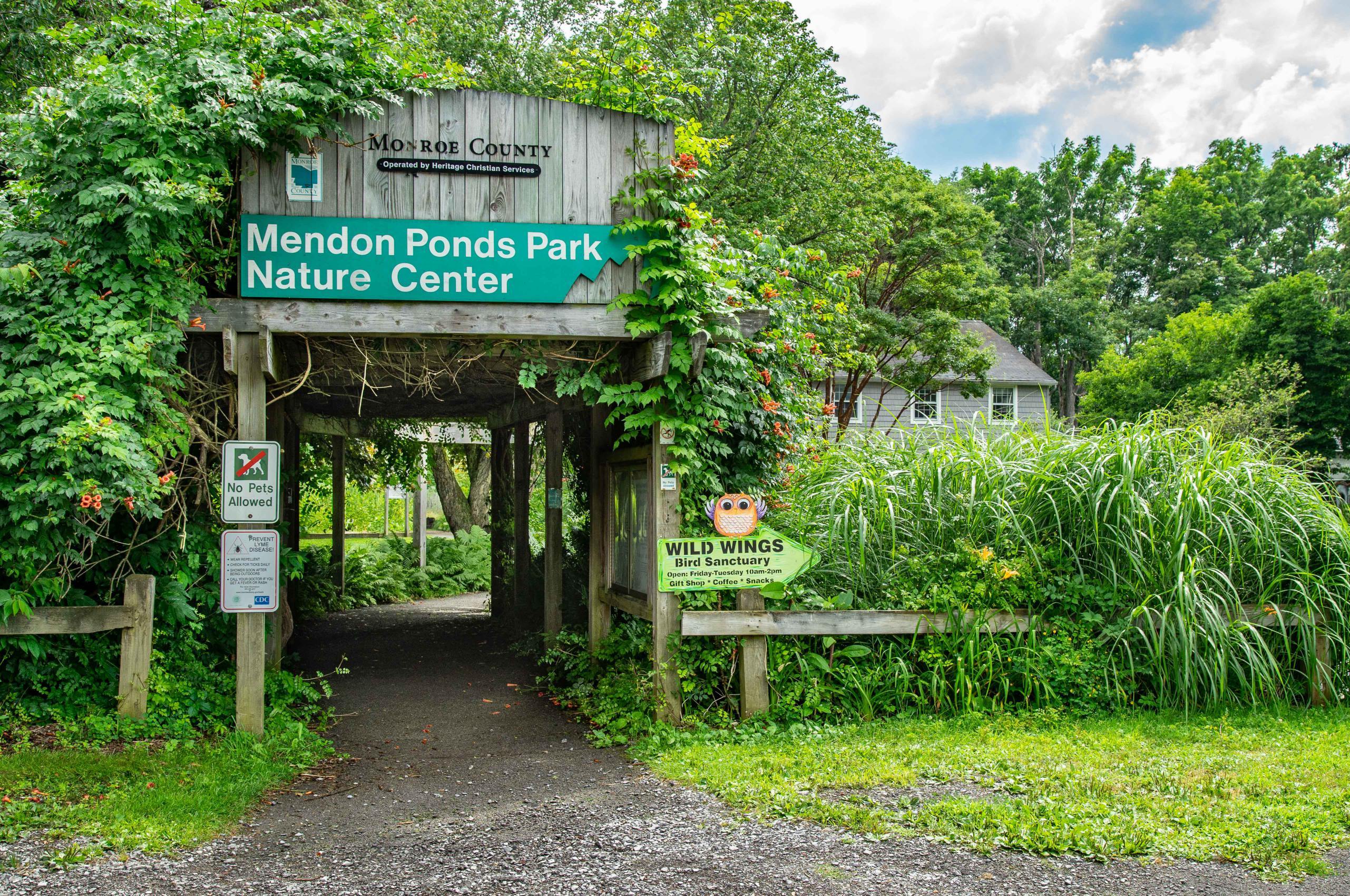 Alpine Ridge - Pittsford, NY