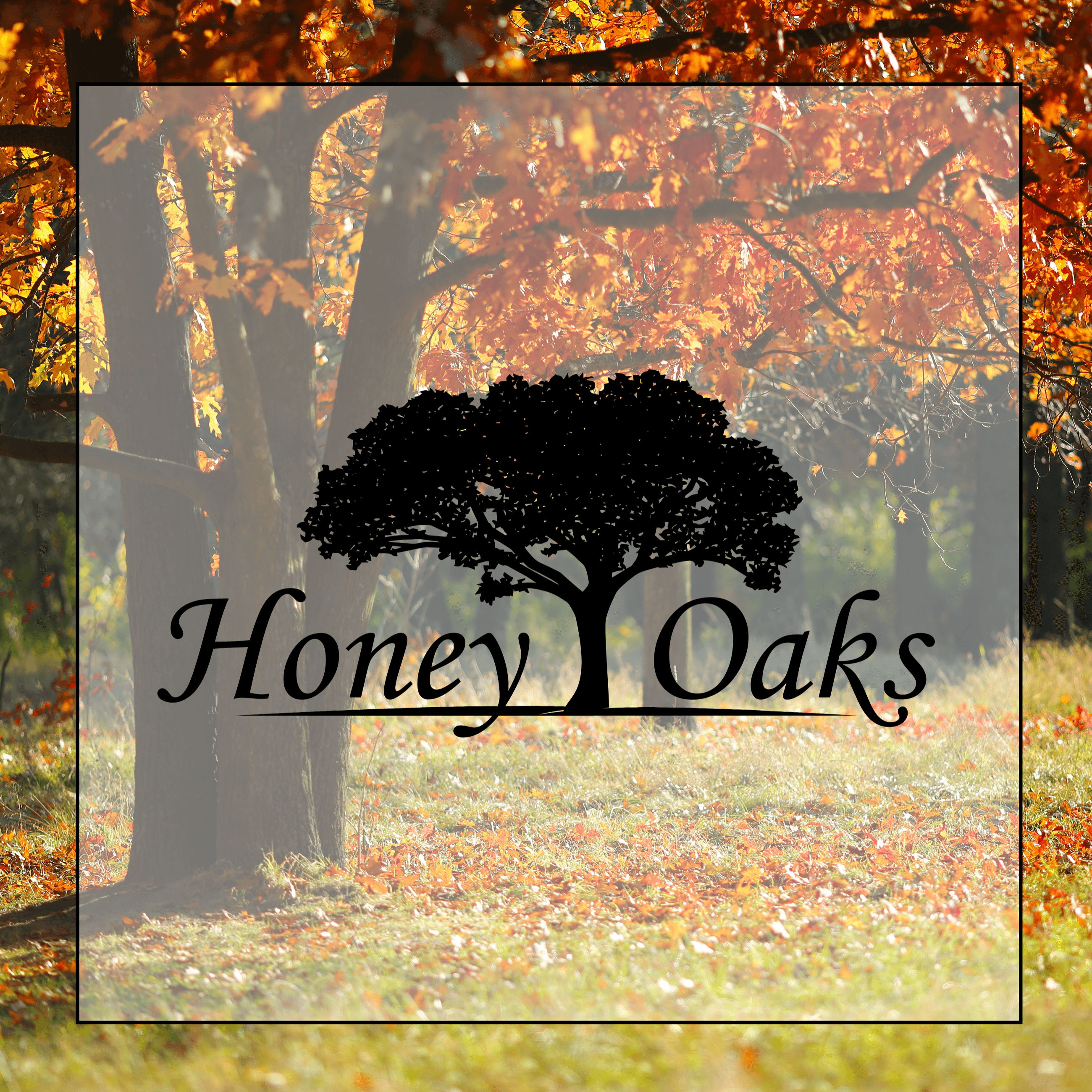 Honey Oaks - Corryton, TN