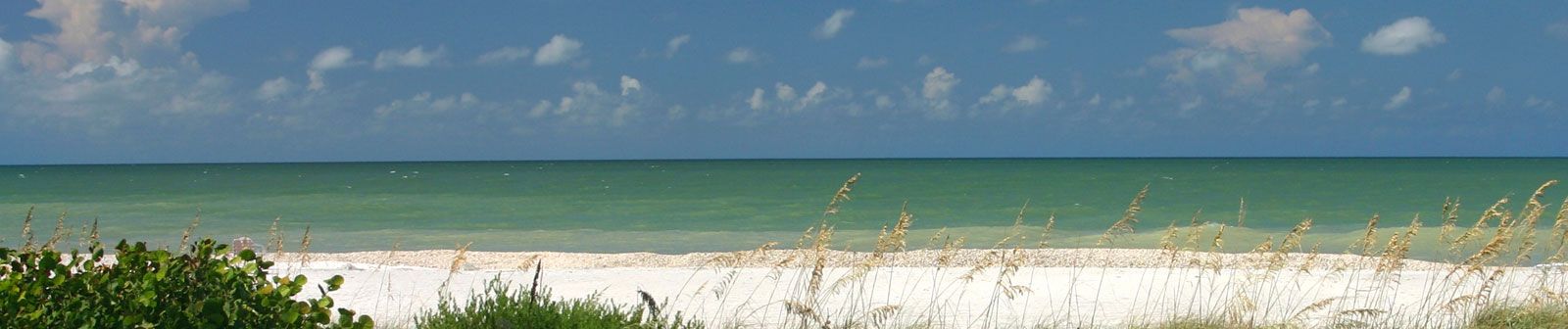 Venetian Pointe - Coconut Creek, FL