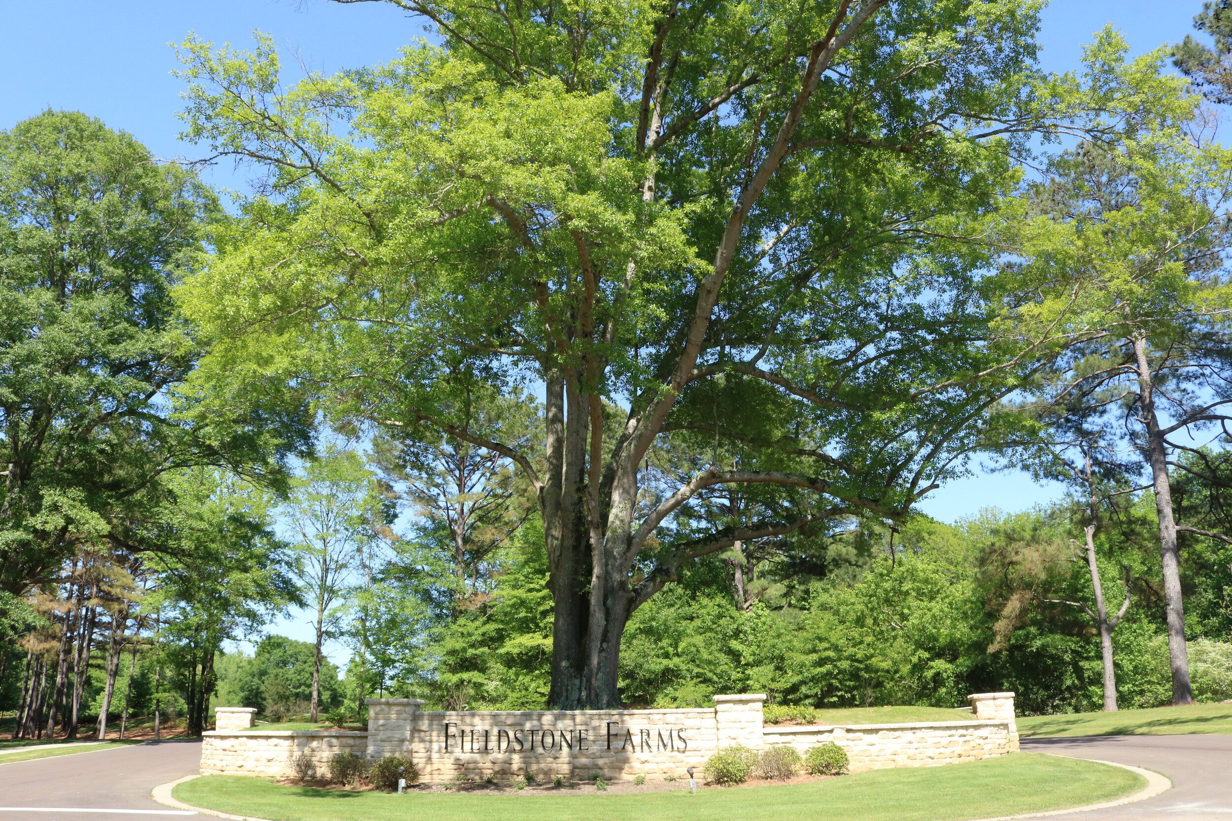 Fieldstone Farms — Lifestyle Homes - Hernando, MS