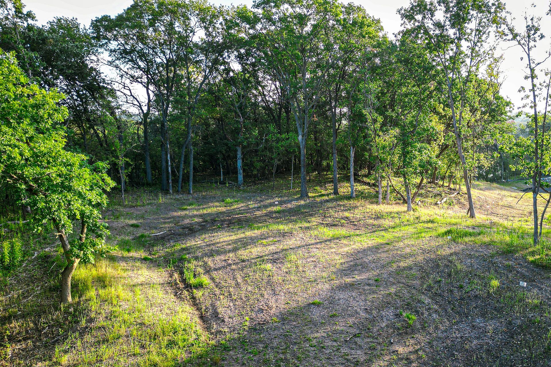 Old Wildwood Oaks - Saint Paul, MN