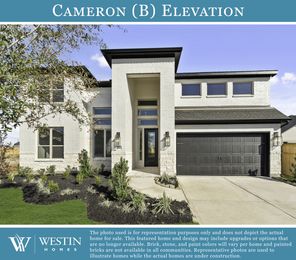 161 Montecilo Drive Liberty Hill (Plan Unknown)