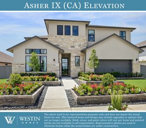 Asher IX
