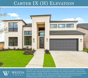 Carter IX
