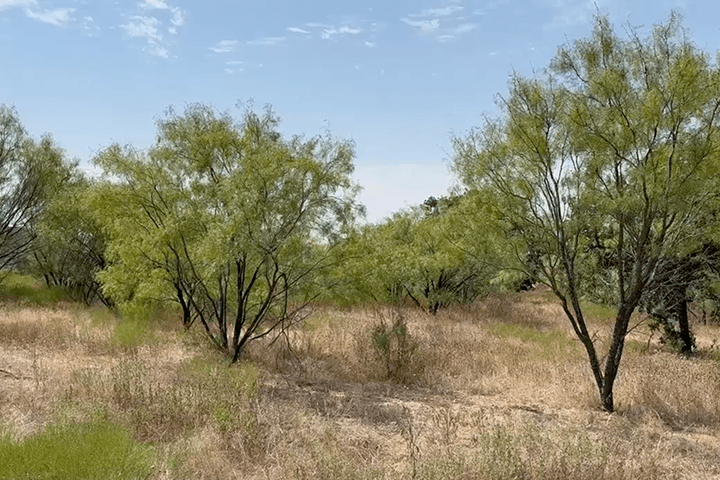 The Reserve At Brock - Weatherford, TX