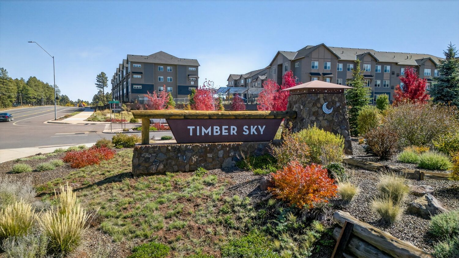 Timber Sky - Corvus