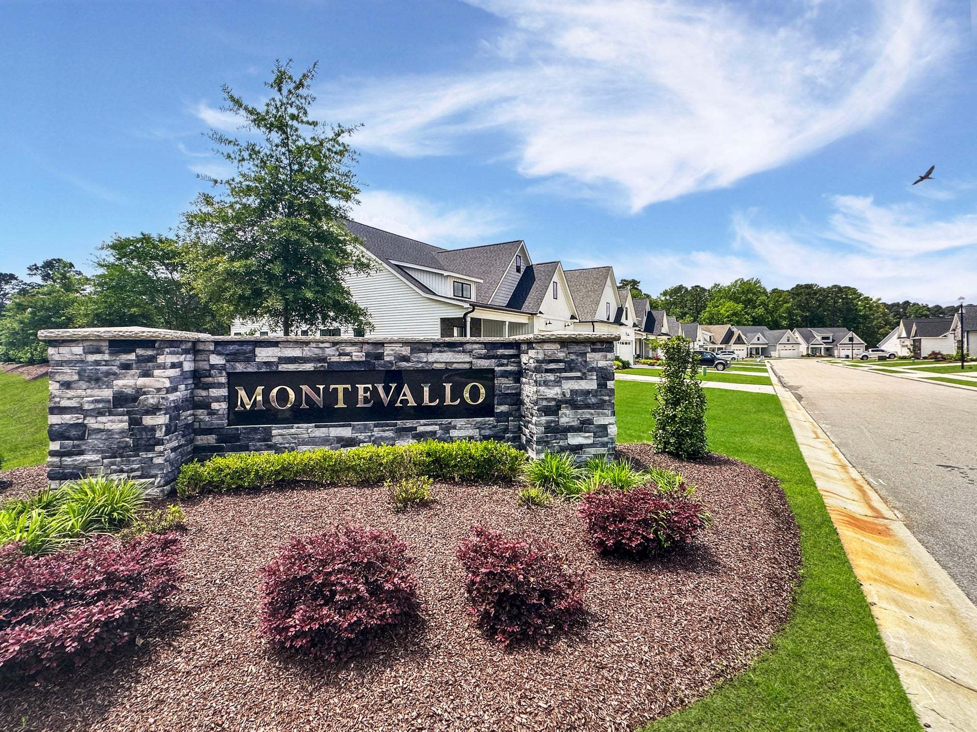 Montevallo por Caviness & Cates Communites en Greenville North Carolina