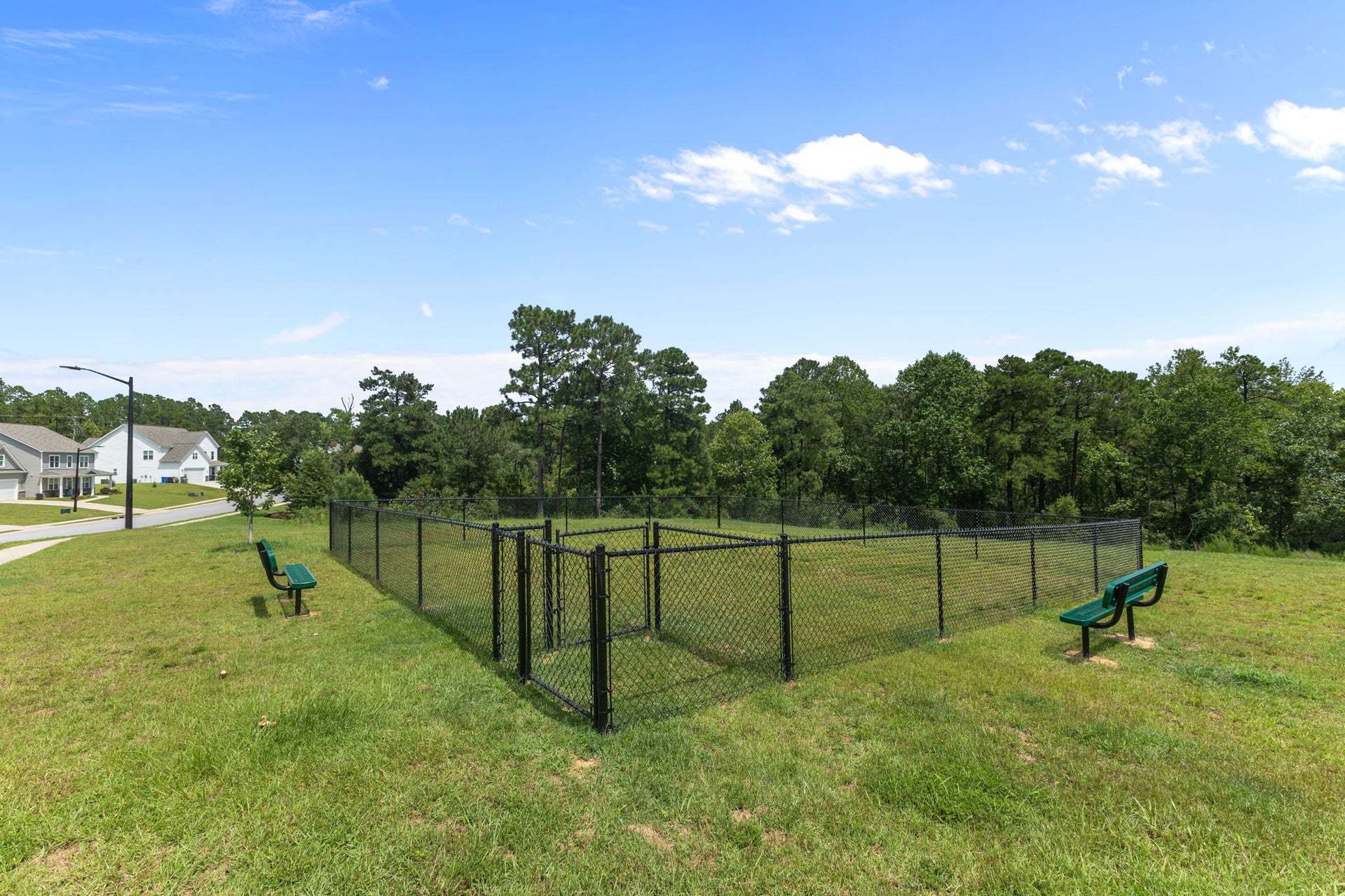 Dog Park