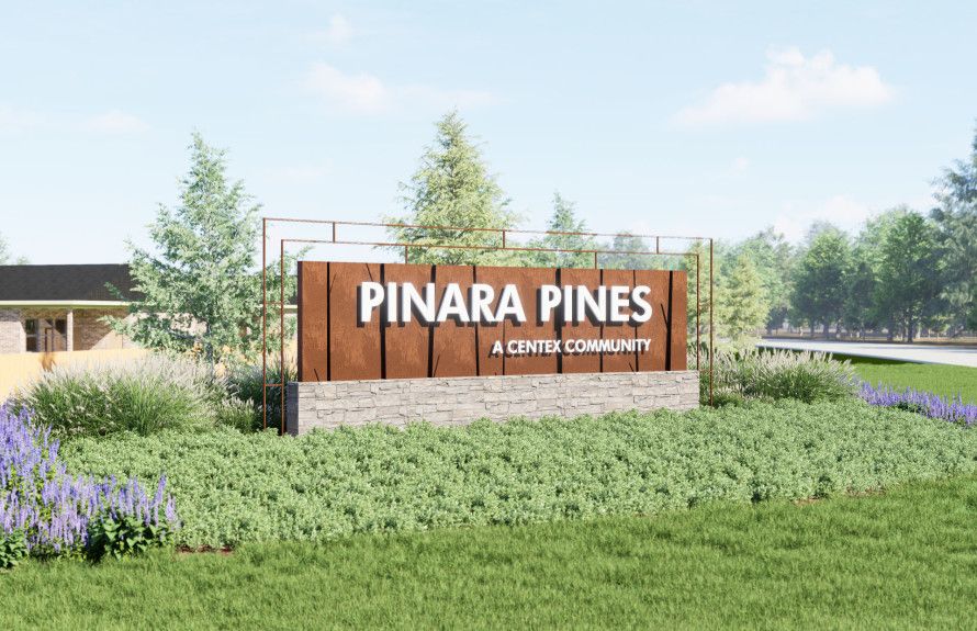 Pinara Pines