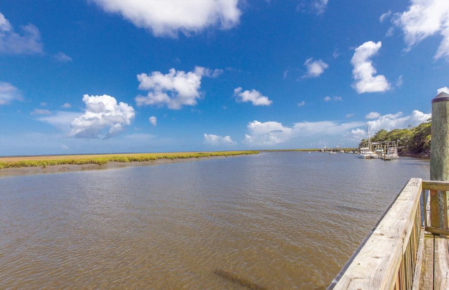 The Ogeeche River