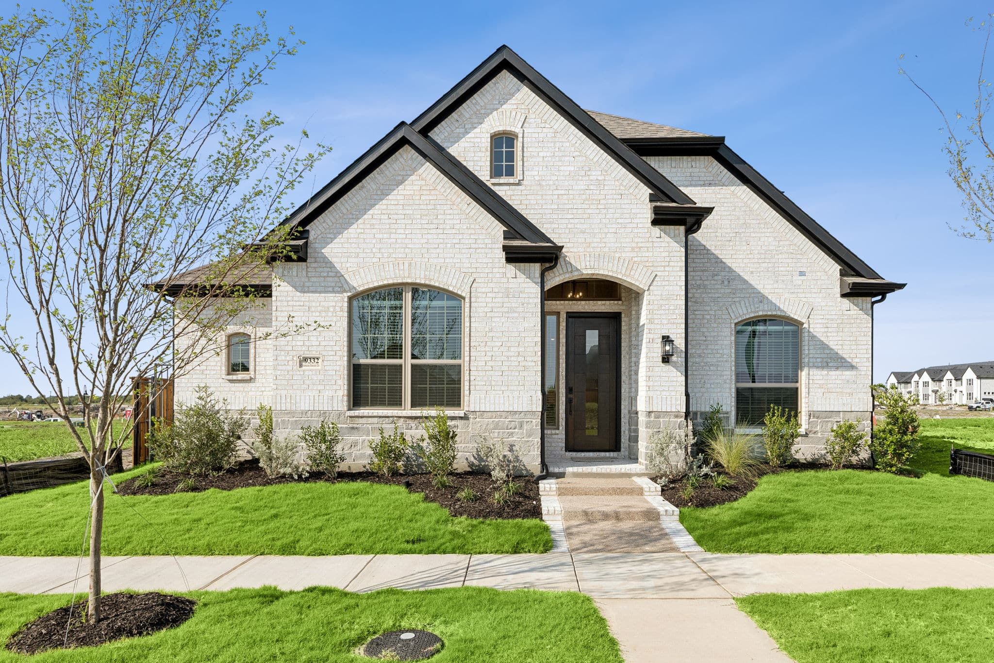 Talia - Forney, TX