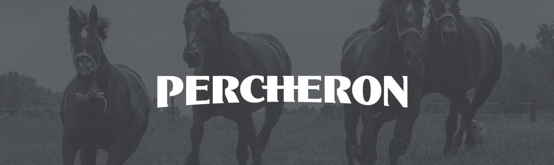 Percheron
