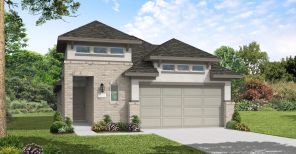 259 Navasota Narrows Way (Elgin)