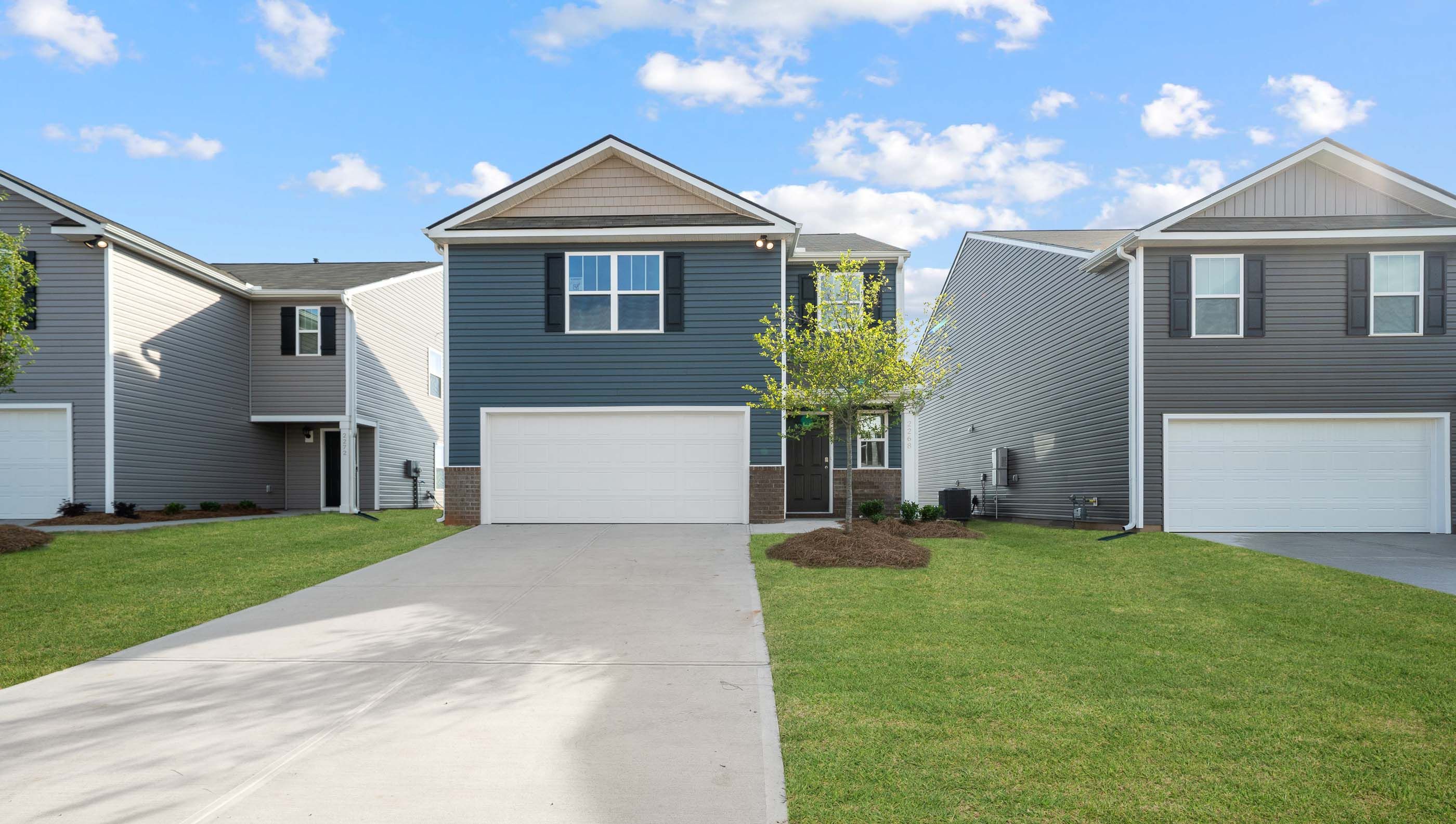 217 Deskin Lane