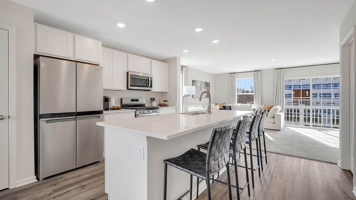 GRANT - Cambridge Lakes North Townhomes: Pingree Grove, Illinois - D.R. Horton