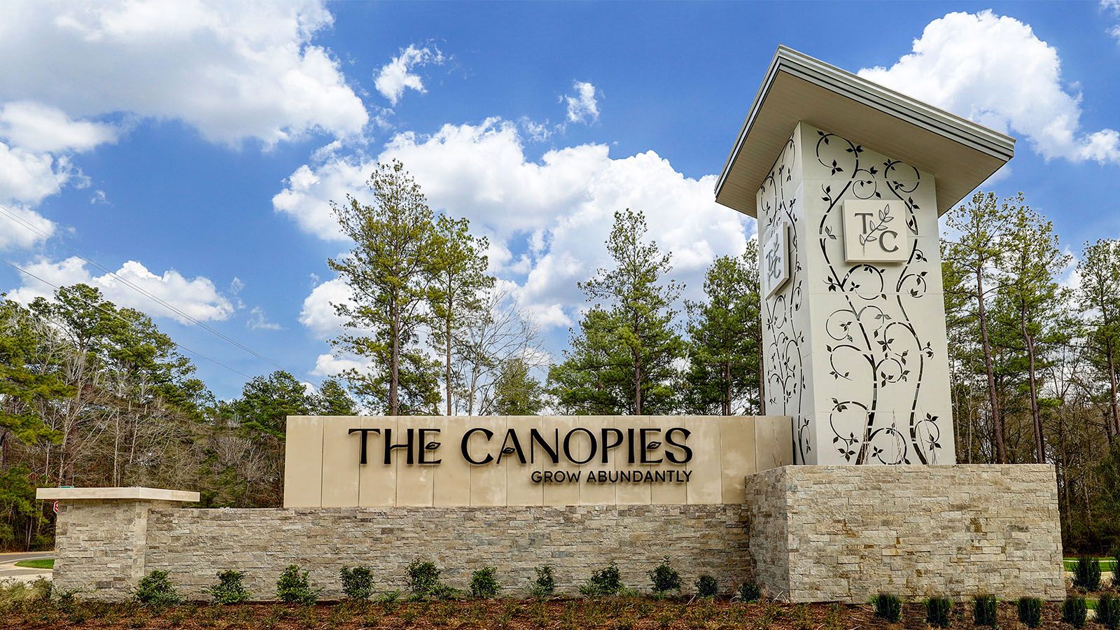 casa en The Canopies por D.R. Horton