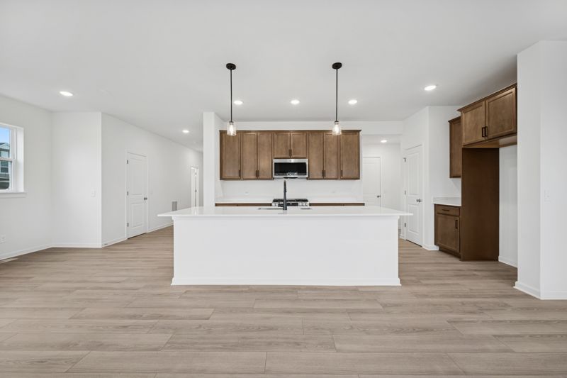 Amber Fields - Carriage Homes at Ashford: Rosemount, Minnesota - David Weekley Homes