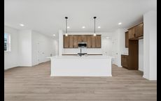 Amber Fields - Carriage Homes at Ashford: Rosemount, Minnesota - David Weekley Homes