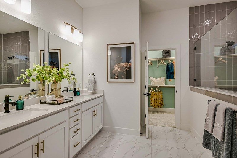 The Carnegie - Owner's Bath