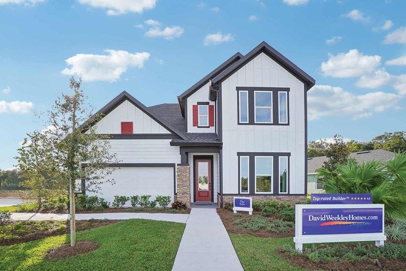 Edie - Oakfield at Mount Dora Village Series: Mount Dora, Florida - David Weekley Homes