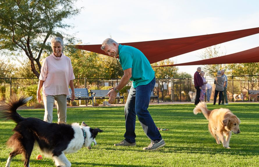 Coming Soon - Dog Park