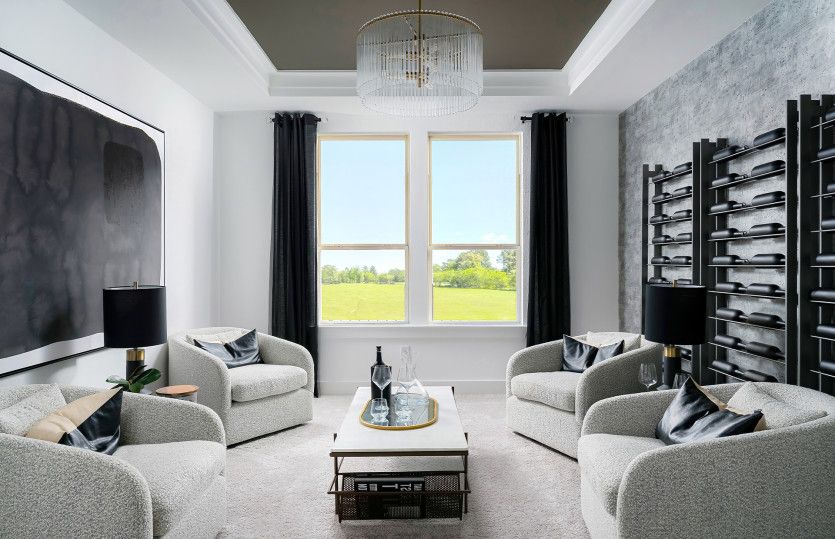 Flex Space with Tray Ceiling