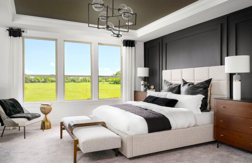 Spacious Owner's Suite with Tray Ceiling