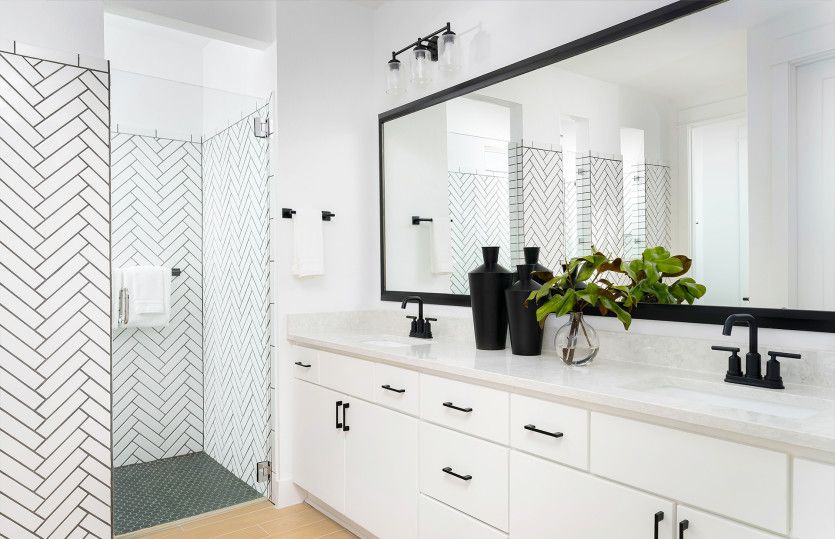 Owner's Bath Spa Shower