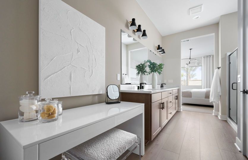 Owner's Bathroom