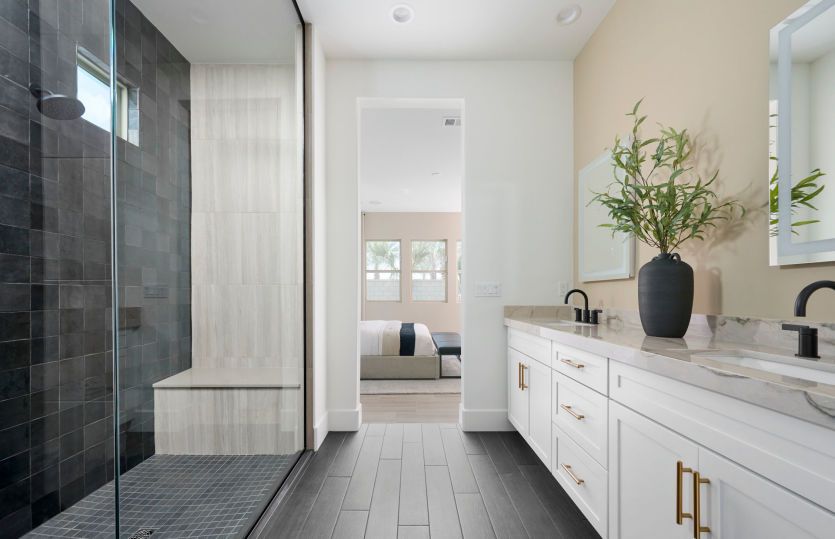 Owner's Bathroom