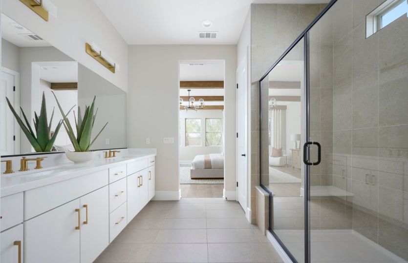 Owner's Bathroom