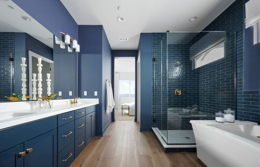 Owner's Bathroom