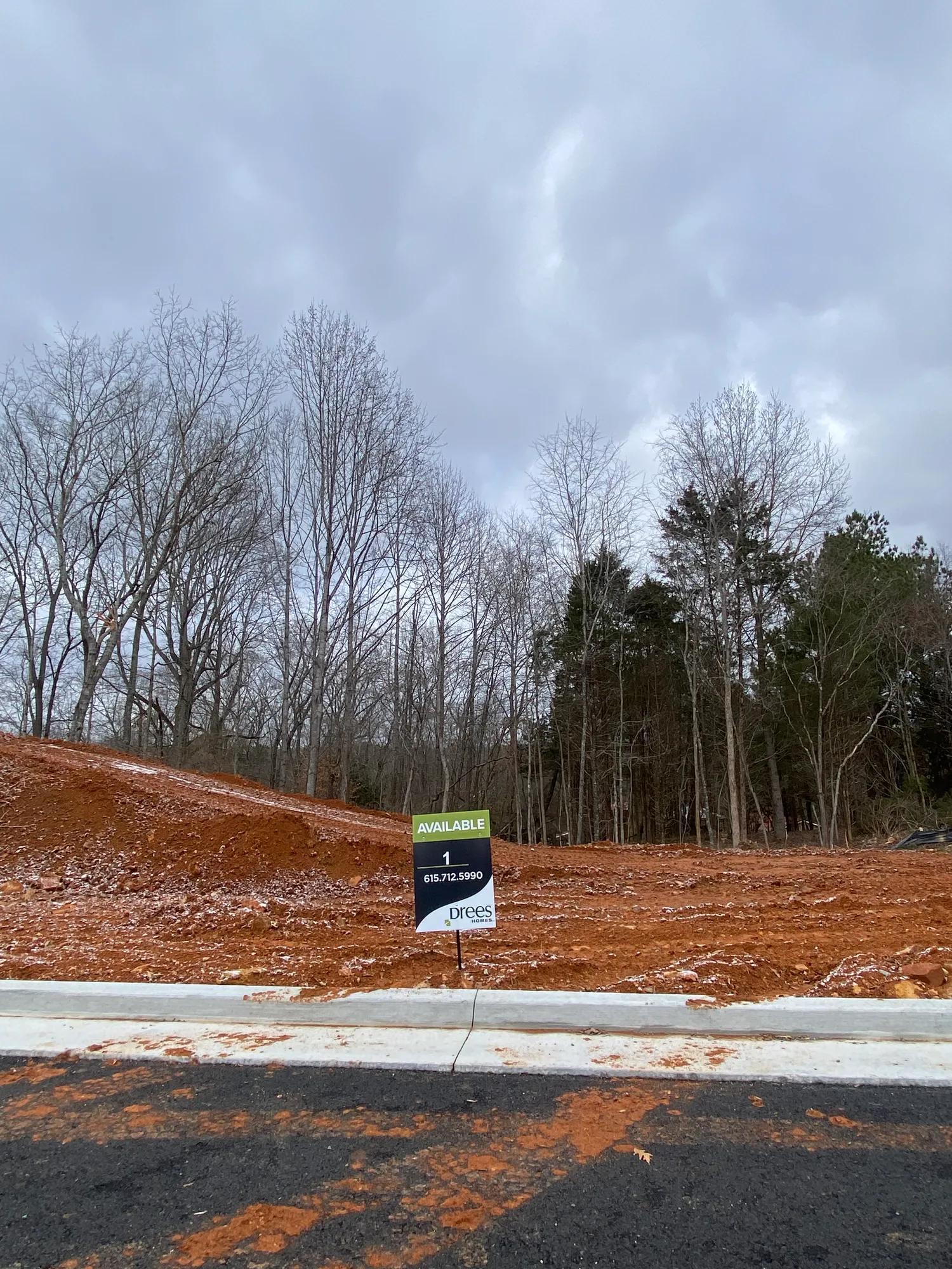 WILSHIRE - Reserves on Chester: Fairview, Tennessee - Drees Homes