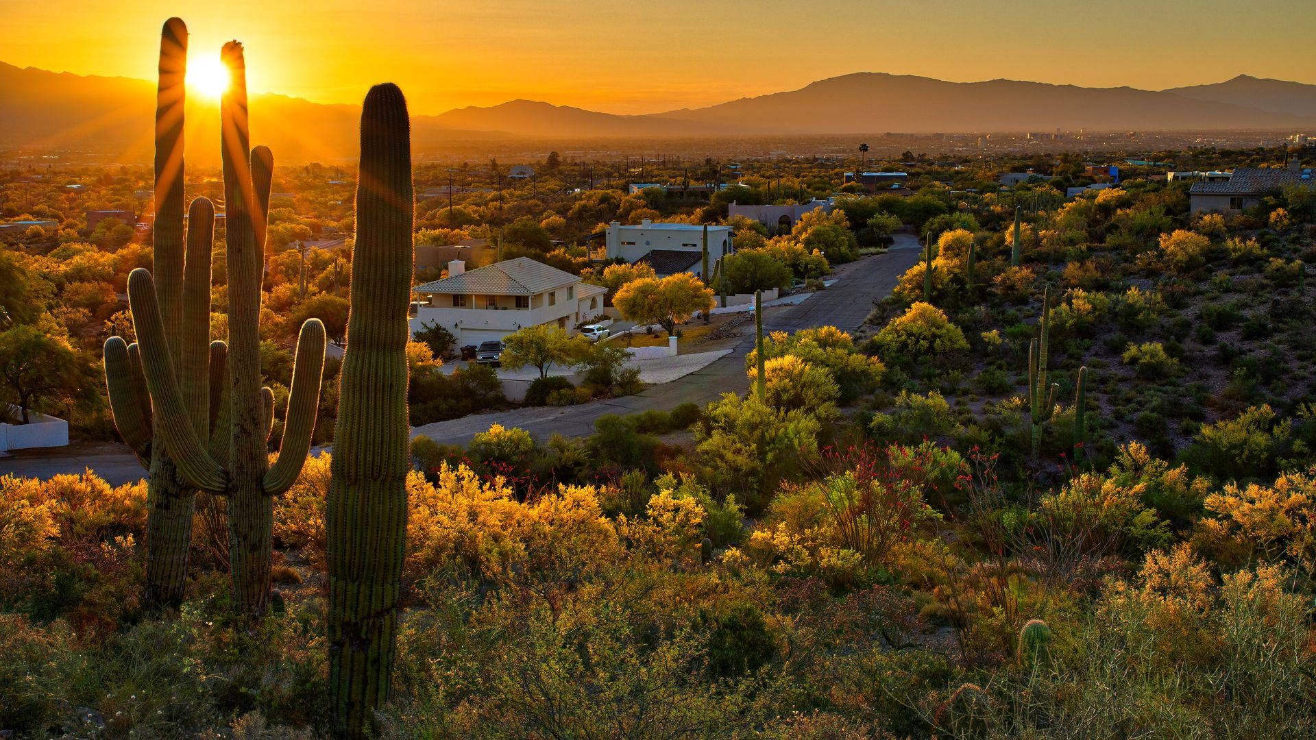 The Hills at Tucson National - Tucson, AZ