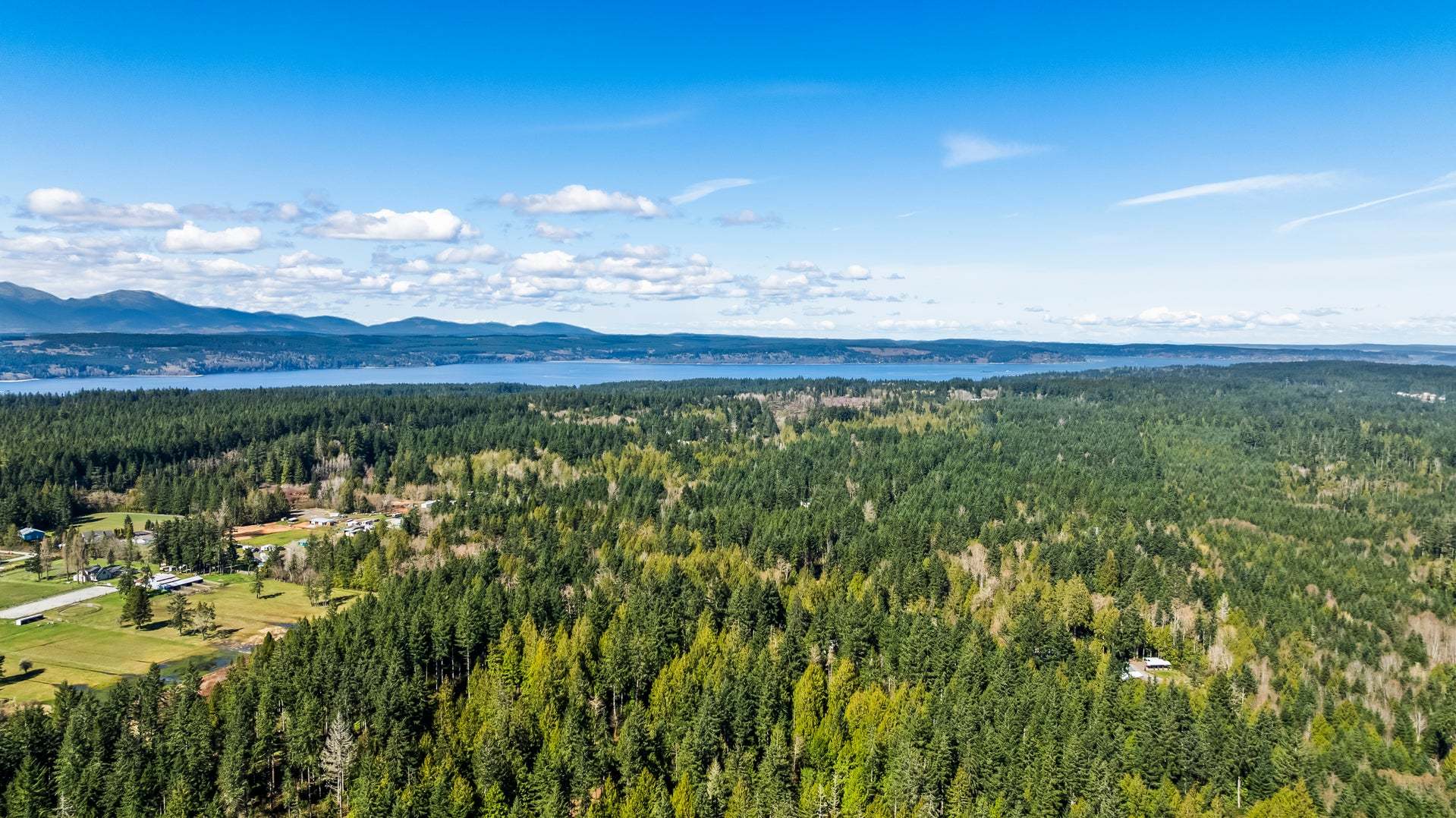 Tall Timber - Poulsbo, WA