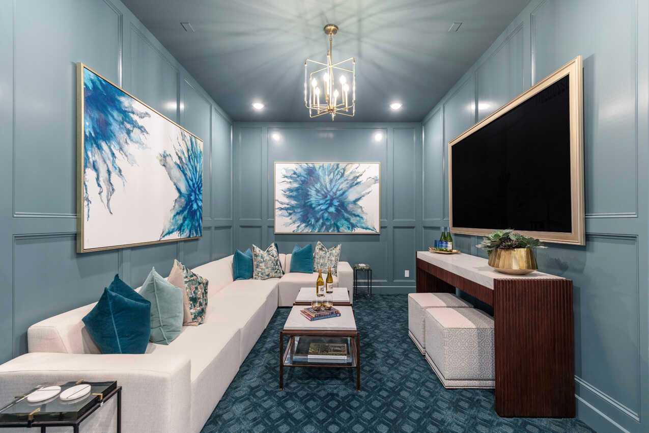Entertainment Room