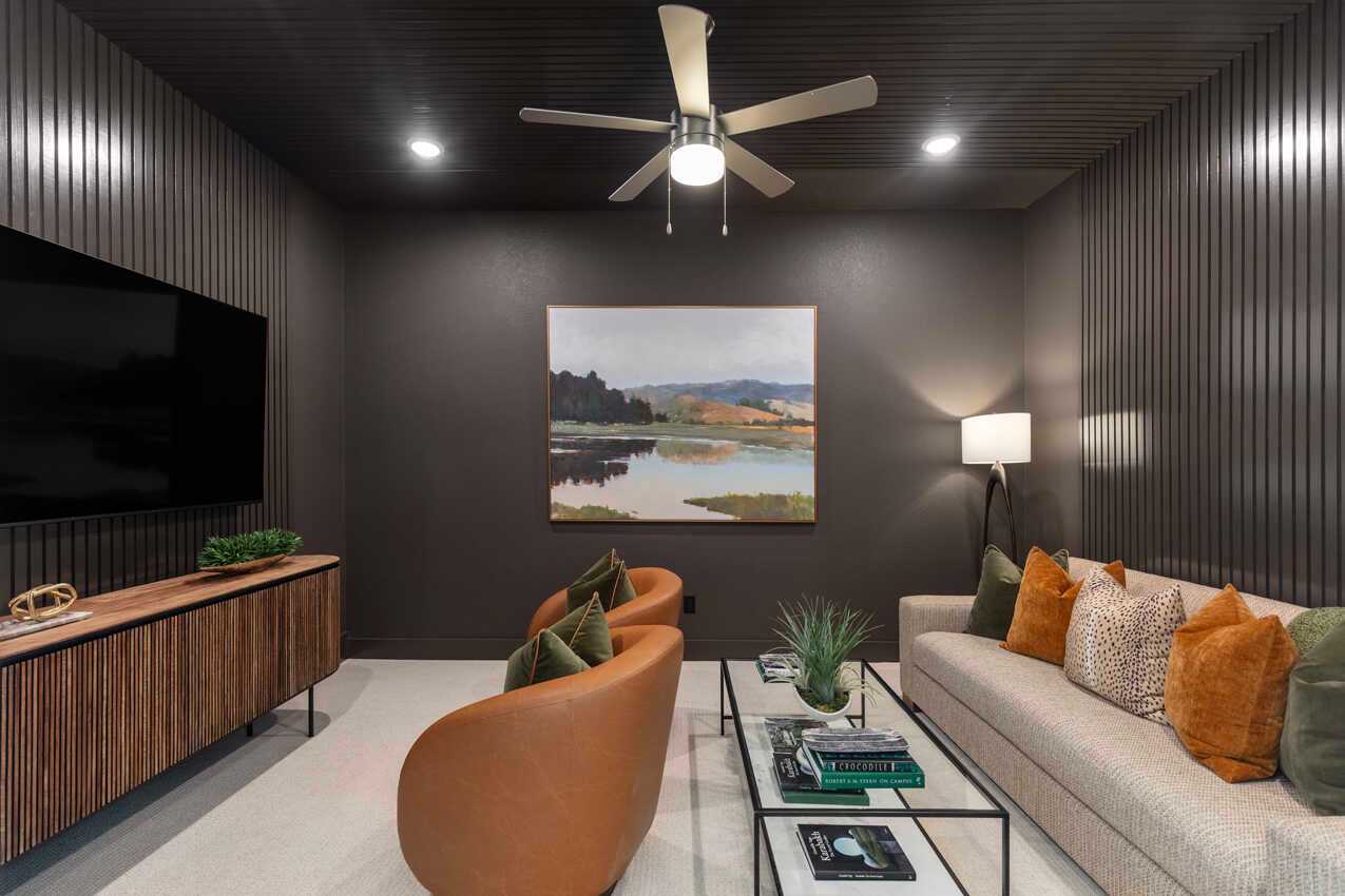 Entertainment Room
